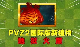 爆料地狱火蕨最新视频,揭秘植物界的奇异现象