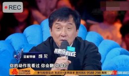 嘎子爆料王宝强视频全集,揭秘王宝强视频全集背后的真相与内幕