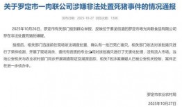 广东官方爆料新闻最新视频,重大事件视频曝光，详情揭晓