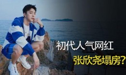 张欣尧被爆料了吗视频播放,张欣尧被爆料视频播放引发热议