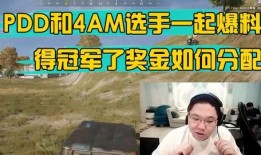 pubg新枪最新爆料,全新枪械亮相，pubg新枪爆料引玩家热议！