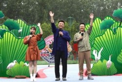 妹纸爆料陆哥视频大全最新,妹纸爆料，精彩瞬间大揭秘！