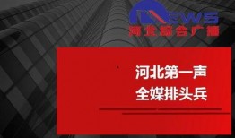 河北电台爆料新闻报道视频,揭秘某事件背后惊人真相