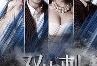 双生刺在线观看,穿越时空的生死对决