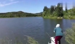 钓鱼爆料视频大全集,爆料视频大全集深度解析