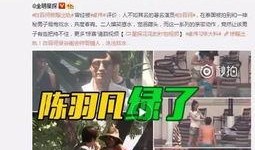 王克胜中医被爆料视频,揭秘其神秘面纱背后的真相