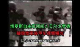 最新俄罗斯爆料视频大全,真相与争议并存