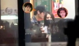 娱乐圈爆料现象,揭秘明星幕后真相与隐私边界