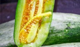 被吃瓜害了的网红是谁,揭秘事件背后的真相