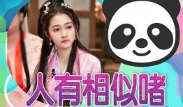 娱乐圈最新大爆料小说,揭秘明星背后的惊天秘密