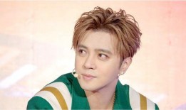 罗志祥娱乐圈爆料,揭秘明星背后的真相与争议