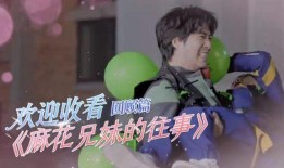 娱乐吃瓜酱罗纳德在线观看,娱乐酱界的风云人物