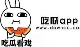 有没有网红吃瓜软件推荐,揭秘热门软件，轻松掌握娱乐圈动态
