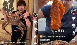 网红爆料猴哥视频,猴哥视频背后的惊人真相