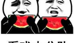 娱乐圈吃瓜表情变化