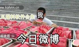 爆料吃瓜视频软件下载,揭秘吃瓜视频软件下载全攻略