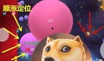 爆料球球搞笑视频