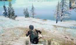 最新爆料六图雪地图片视频