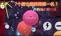 爆料球球搞笑视频
