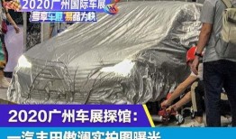 傲澜最新爆料,揭秘娱乐圈惊天秘密