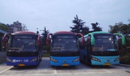 诸暨公交车爆料事件视频,真相与反思