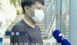 吃瓜杨男网红,揭秘网络红人的幕后生活