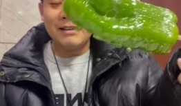 吃瓜杨男网红,揭秘网络红人的幕后生活