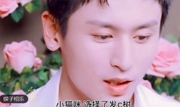 八哥爆料拖鞋视频大全集,拖鞋视频大全集精彩瞬间