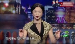 金星爆料酒店视频大全,酒店视频大全揭秘娱乐圈幕后真相