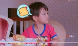 田亮爆料儿子视频大全下载,温馨瞬间记录成长轨迹