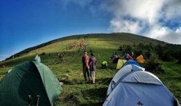 露营2016在线观看,在线重温自然之美