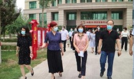 邢台桥西区最新爆料新闻,最新爆料揭示惊人真相