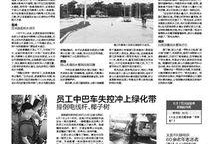 有关军人的爆料新闻稿件,爆料新闻背后的真实故事