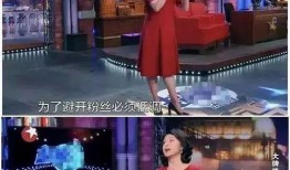 金星爆料酒店视频大全,酒店视频大全揭秘娱乐圈幕后真相