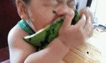 举牌网红吃瓜图片,趣味横生瞬间捕捉