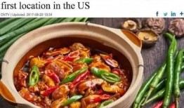 黄焖鸡米饭最新爆料,独家秘制，美味升级，揭秘背后的传奇故事