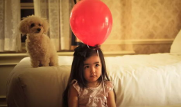 放羊女孩网红爆料视频大全,视频大全背后的真实故事