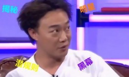 黑幕爆料娱乐圈,真相与谎言的交织