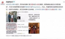 卓伟爆料李鬼们视频全集,李鬼视频全集曝光，真相大白！