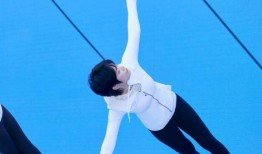 功夫瑜伽爆料视频,揭秘神秘宝藏，探寻中印文化交融之旅