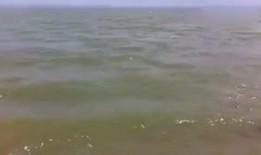 钓鱼爆料视频大全集,爆料视频大全集深度解析