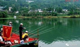 钓鱼爆料视频大全集,爆料视频大全集深度解析