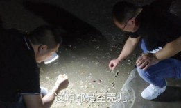双峰溺水事件爆料视频播放,揭秘现场惊心动魄的救援瞬间