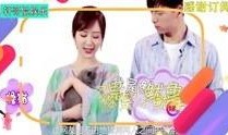 娱乐吃瓜八卦图高清,高清八卦图背后的惊人真相