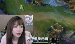 lol涵艺最新爆料,揭秘游戏幕后故事与未来动向