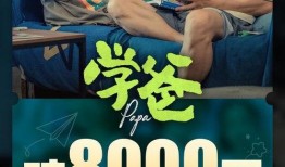 曾姓父子爆料视频播放,揭秘家族秘辛与真实情感