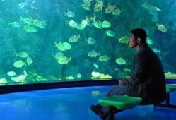 海洋天堂在线观看,探寻深海奥秘的奇幻之旅