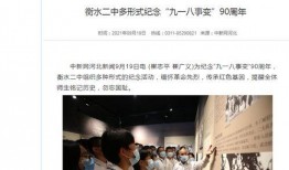 河北电台爆料新闻报道视频,揭秘某事件背后惊人真相