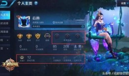 在哪开王者最新爆料台服,揭秘王者荣耀新版本神秘内容