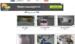 俄罗斯惊人爆料视频下载,惊人爆料视频下载背后的真相披露